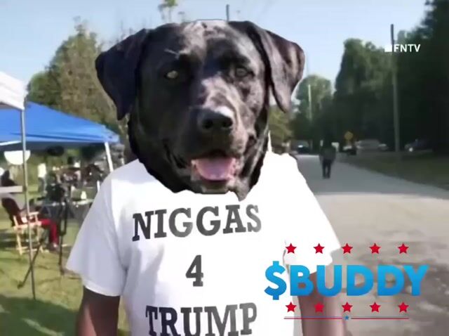 AA3B24CF-B840-4B15-BED0-21DBD97CAAE1-1-render.mp4