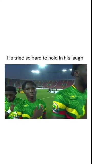 764705556-1 (38).mp4