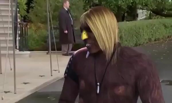 video_51@15-09-2025_16-42-18.mp4