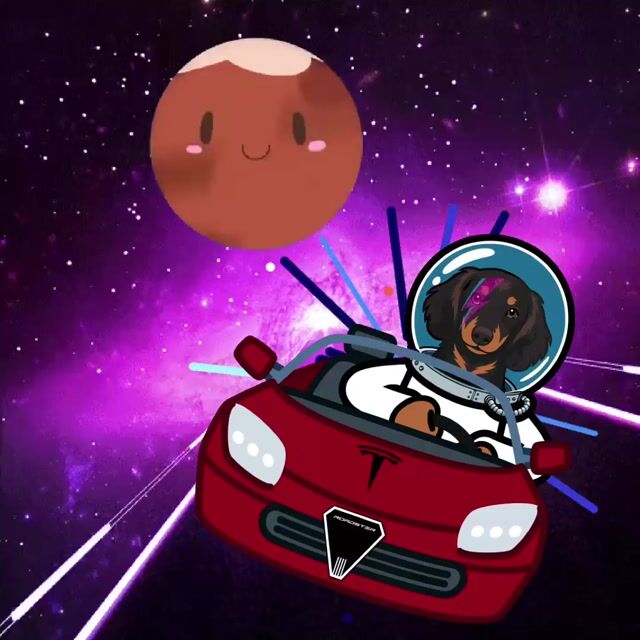 Video.mp4