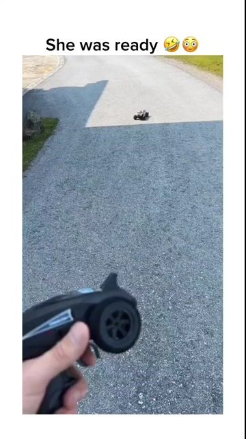 764705556-1 (55).mp4