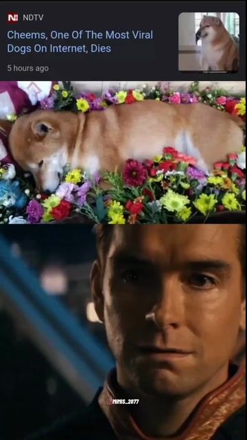 764705556-1 (64).mp4