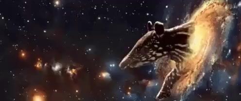 video_2025-02-19_18-04-49.mp4